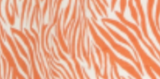 House of Holland Zebra Print Shirt Dress