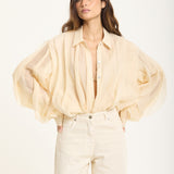 Sheer Volume Sleeve Blouse