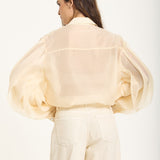 Sheer Volume Sleeve Blouse