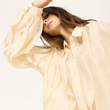 Sheer Volume Sleeve Blouse