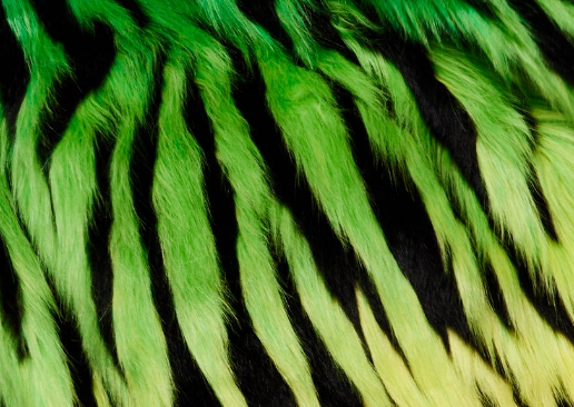House Of Holland Gradient Zebra Print Faux Fur Coat